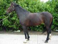 /album/fotos/odinkie-1-jpg/